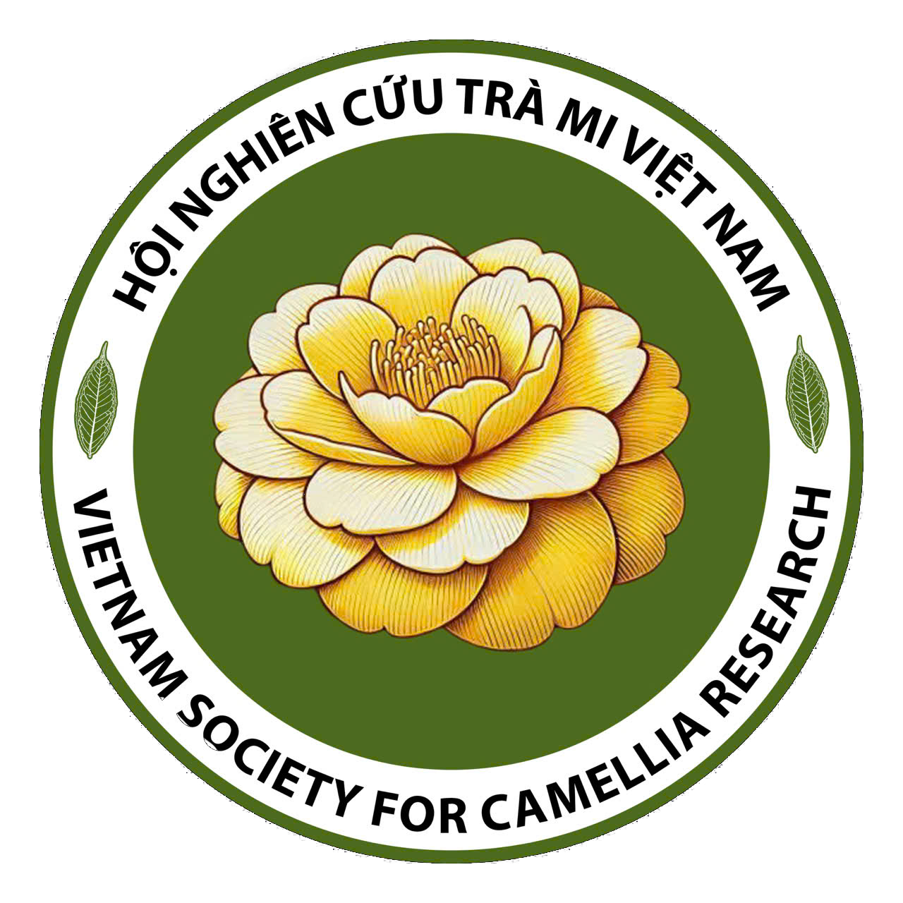 Việt Nam Camellia